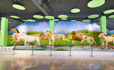 生命與健康科學(xué)館